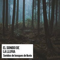 Gentle & Relaxing Rain - Musica Para Niños & Lluvia para dormir & Sonido Del Bosque y Naturaleza