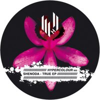 Okt 31 - Shenoda