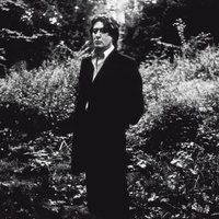 L'Irréel - Alain Bashung