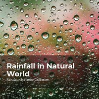 Natural Wind Breeze - ASMR Rain Sounds & Rain Sounds Nature Collection & Sleepy Rain