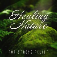 Promised Land - Stress-Free Zone