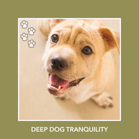Pure Puppy Love - Dog Chill Out Music