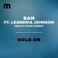 Hold On - Bam & Leandria Johnson