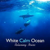 Endless Sounds of Deep Ocean - Healing Ocean Waves Zone