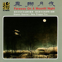 The Gloomy Night - Stamic Quartet & New Prague Trio