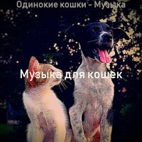 Созерцая (Кошки) - Музыка для кошек