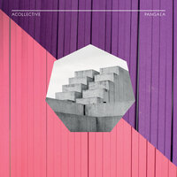 Had It Once - Acollective & Rabino & Roy Rieck