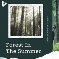Calm Down and Meditate - Nature Sounds At Home