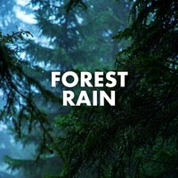 Running Rain - Nature Sounds