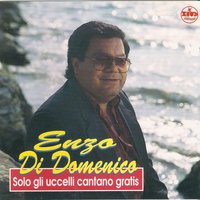 Mezza donna - Enzo Di Domenico