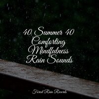 Parting Heavens - Regengeräusche & Rain Sound Plus & Natural Samples