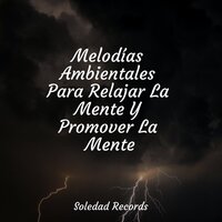 Gotas De Lluvia - Massage Music & Canciones de Cuna para Bebés Acadèmico & Musica Para Meditar