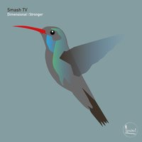 Stronger - SMASH TV
