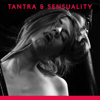 Sex Experience - Calm Love Oasis & Sensual Massage Sanctuary