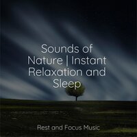 Wings of Apollo - White Noise Baby Sleep & Soothing Chill Out For Insomnia & Asian Zen Spa Music Meditation