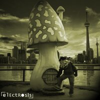 2051 - Electrosis & Akim