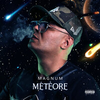 Survivor - Magnum
