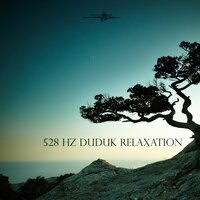 Silent Beach - Solfeggio Mind & 432 Hz Sound Therapy