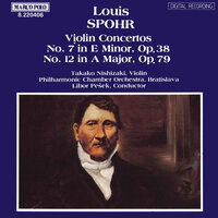 Violin Concerto No. 7 in E Minor, Op. 38: I. Allegro - Takako Nishizaki & Bratislava Philharmonic Chamber Orchestra & Libor Pesek & Луи Шпор