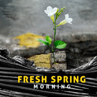 Melodies to Calm Down - Deep Sleep Relaxation Universe & Keep Calm Music Collection