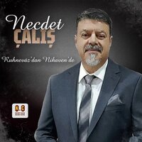 Bakışı Buzları Eriten Güzel - Necdet Çalış