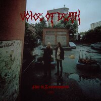 In the Past - Voice of Death