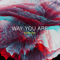Way You Are - Daniel Ellsworth & The Great Lakes & Ruby Amanfu & Veinmelter