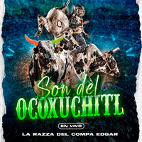 Son Del Ocoxuchitl (En Vivo) - La Razza del Compa Edgar