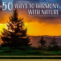 Spring of Life - Calm Nature Oasis