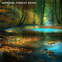 River Water Nature Sound - Discovery Nature Soundscapes & Water Soundscapes & Soothing Nature Sounds & Discovery Forest Soundscapes & White Noise Soundscapes & Discovery Nature Sound