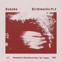 Nash - bababa & RoundHouse Kick