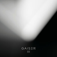 Wirelife - Gaiser