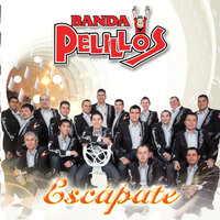 El Gritón - Banda Pelillos