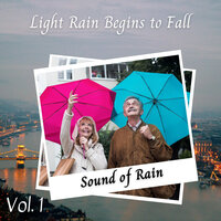 Ambient Rain White Noise Lullaby - Gentle Rain Makers & Asian Zen: Spa Music Meditation & Calming Music for Dogs
