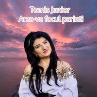 Arza-va focul parinti - Tomis Junior