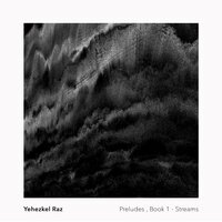 Slowly Understanding - Yehezkel Raz