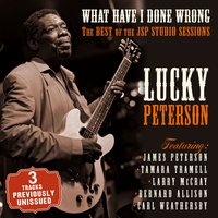 What Have I Done Wrong - Lucky Peterson
