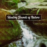 Easy Listening - Water Sounds Music Zone