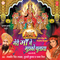 Mor Bole Tota Bole - Lakhbir Singh Lakkha & Avnish Khare
