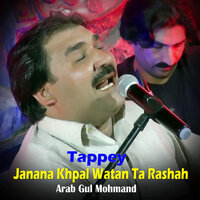 Da Zra Khabre Me Pa Zra Pate Shwe - Arab Gul Mohmand