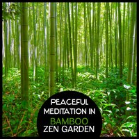 Spiritual Path – Flow Yoga Practice - Relaxing Flute Music Zone