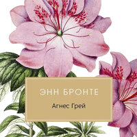 Энн Бронте. «Агнес Грей». Часть 10 - Юлия Яблонская