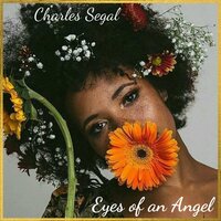 Playing With Our Minds - Charles Segal