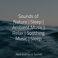 Eternal Echoes - Meditação Yoga & Smart Baby Lullaby & Relaxing Sleep Sound