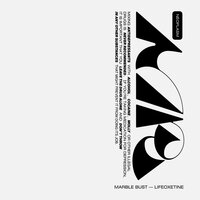 HINDSIGHT - Marble Bust & Sparrow