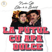 DOAMNE CE FERICIT SUNT - Nicolae Guta & Stefan de la Barbulesti
