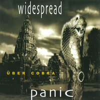 Party At Your Mama's House - Widespread Panic