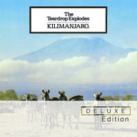 The Poppies In The Field - The Teardrop Explodes