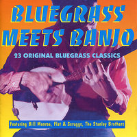 Blue Grass Stomp - Bill Monroe