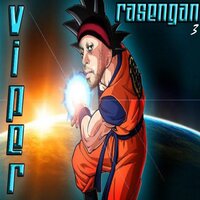 Panels - Viper